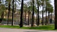 Piazza-Castelnuovo-Palermo