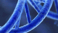 TEST GENETICI dna